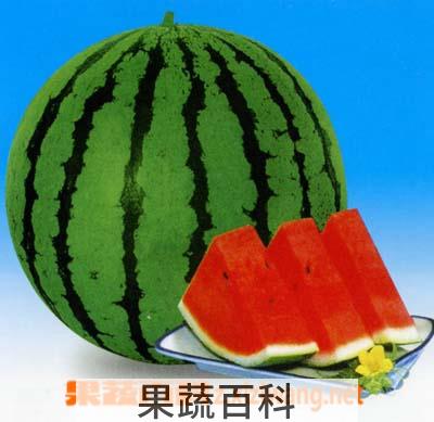 果蔬百科西瓜