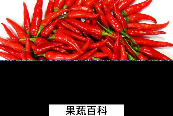 果蔬百科吃辣椒的好处有哪些