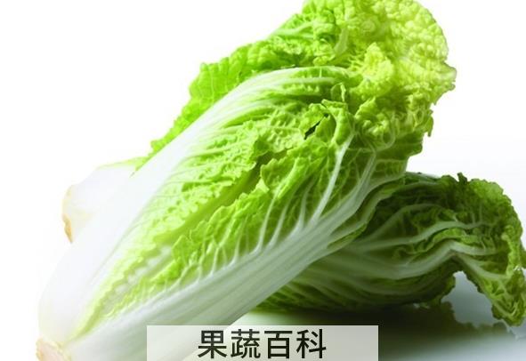 果蔬百科白菜的药用价值