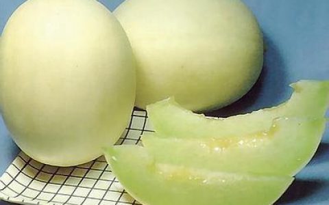 甜瓜简介整点啥 甜瓜介绍