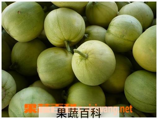 果蔬百科甜瓜