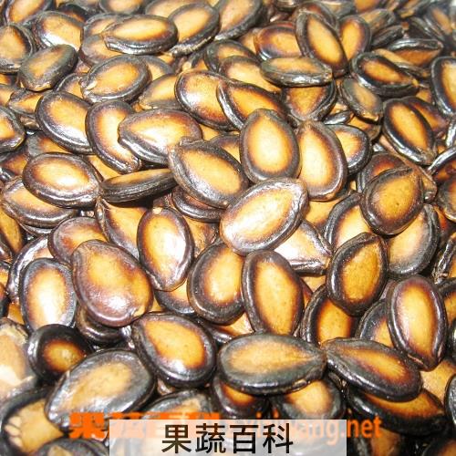 果蔬百科西瓜子