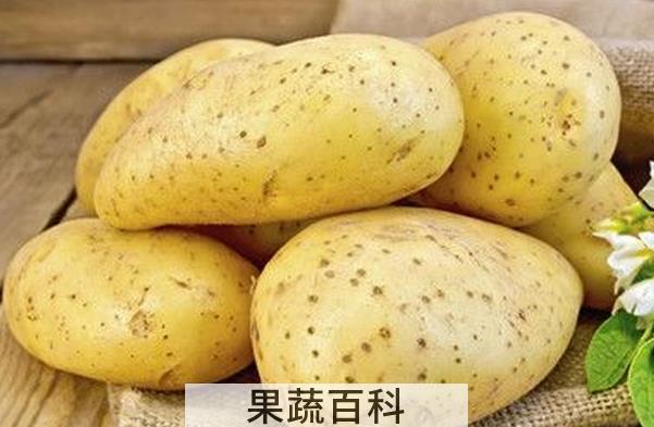 果蔬百科土豆的营养价值