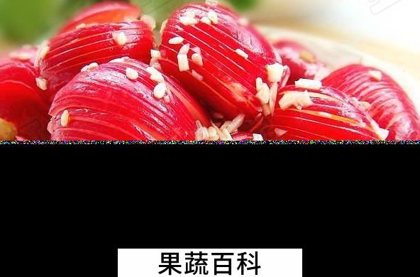 果蔬百科樱桃萝卜怎么吃