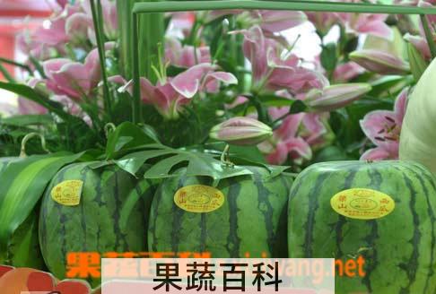 果蔬百科西瓜