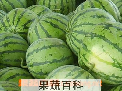 果蔬百科西瓜