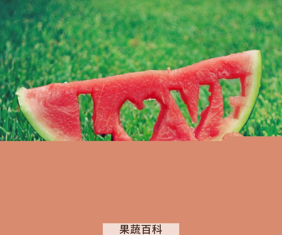 果蔬百科西瓜