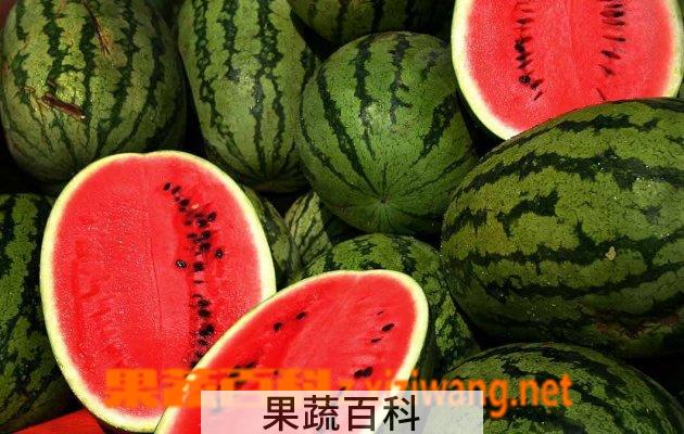 果蔬百科西瓜