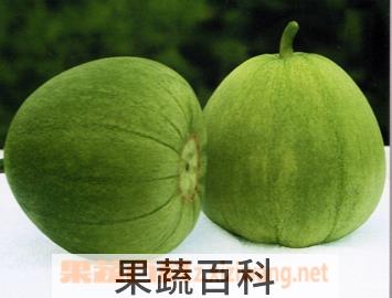 果蔬百科甜瓜