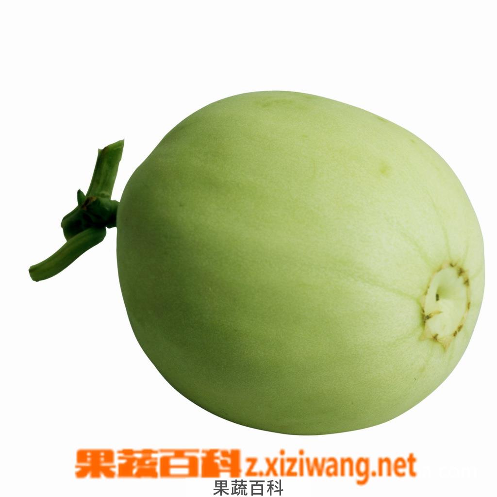 果蔬百科甜瓜
