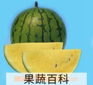 果蔬百科西瓜
