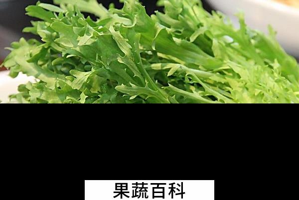 果蔬百科苦苣菜的功效与作用