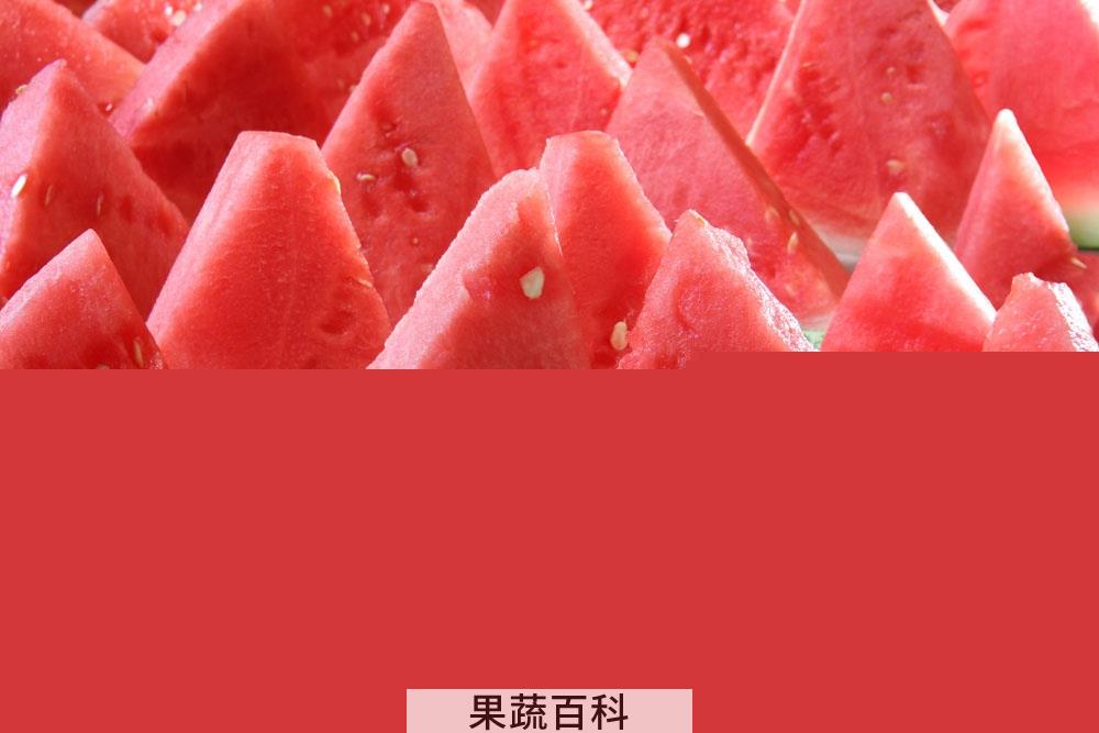 果蔬百科西瓜