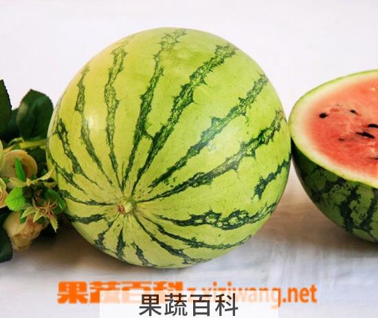 果蔬百科西瓜
