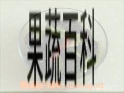 果蔬百科凉拌木耳西瓜皮