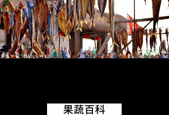 果蔬百科鱼干的功效与作用