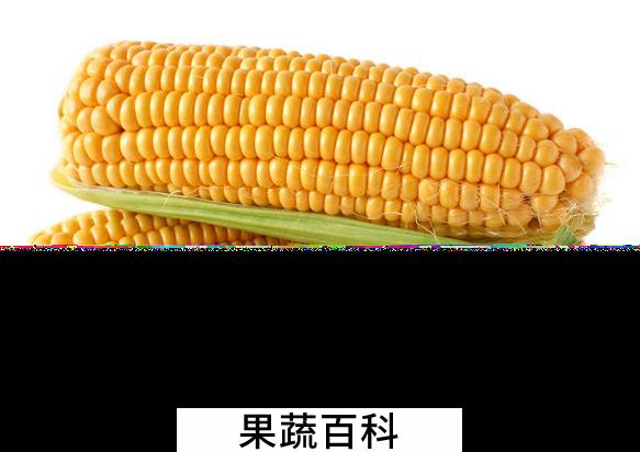 果蔬百科吃玉米的好处有哪些