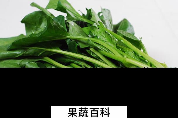 果蔬百科吃菠菜的好处有哪些