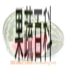 果蔬百科西瓜