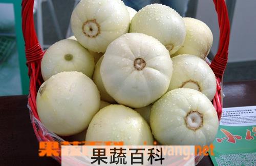 果蔬百科香瓜