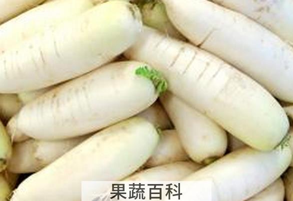 果蔬百科生吃白萝卜的好处有哪些
