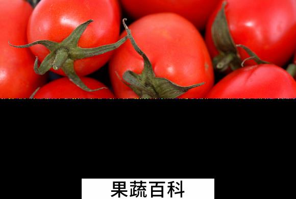 果蔬百科西红柿能减肥吗