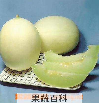 果蔬百科香瓜