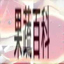 果蔬百科西瓜果冻
