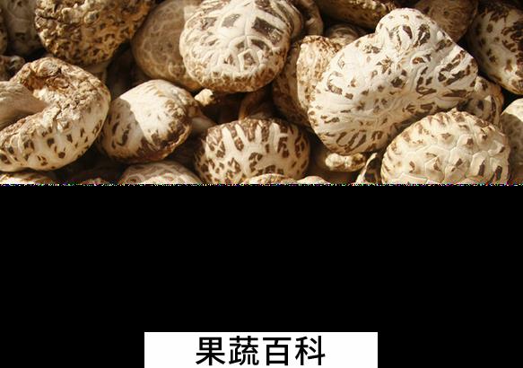 果蔬百科花菇的功效与作用