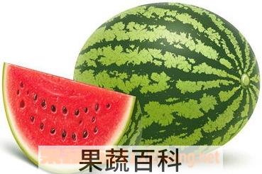 果蔬百科西瓜
