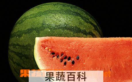 果蔬百科西瓜