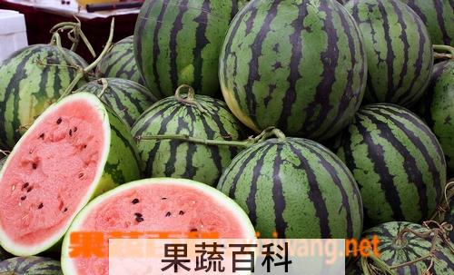 果蔬百科西瓜