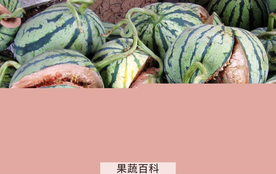 果蔬百科西瓜