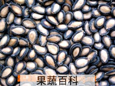 果蔬百科西瓜子