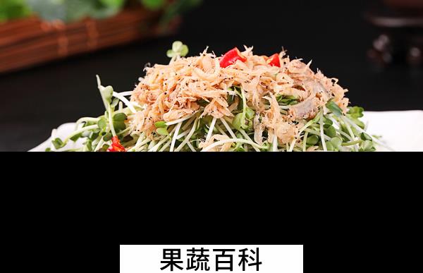 果蔬百科萝卜苗怎么吃