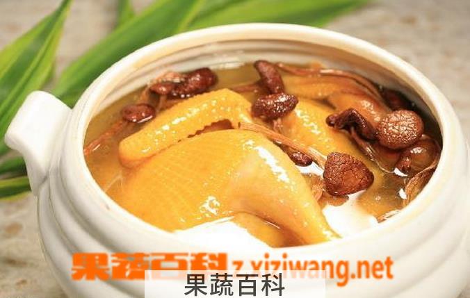 果蔬百科鸡汤怎么炖好喝