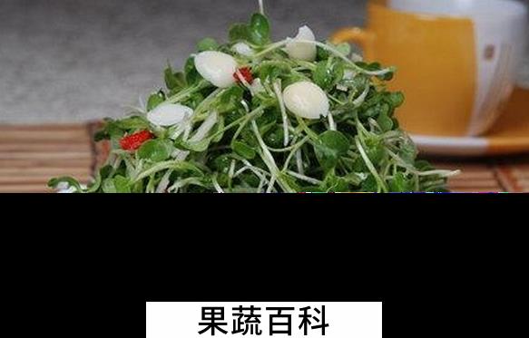 果蔬百科萝卜苗的营养价值与功效
