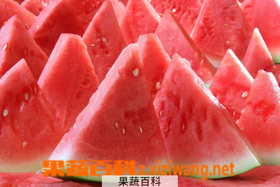 果蔬百科西瓜