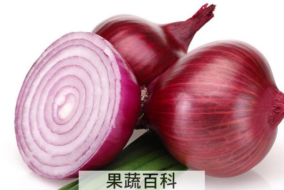 果蔬百科吃洋葱上火吗