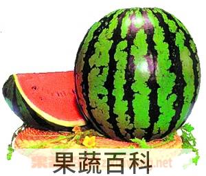 果蔬百科西瓜
