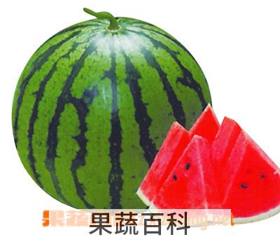 果蔬百科西瓜