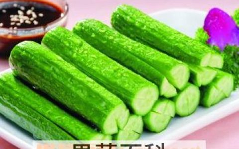 乳瓜的营养价值及功效与作用 乳瓜特性,特征与作用是什么?