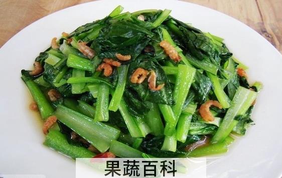 果蔬百科海米油菜的做法