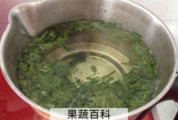 果蔬百科香菜煮水的功效与作用