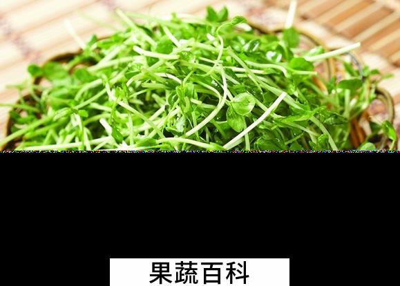 果蔬百科豆苗的做法大全