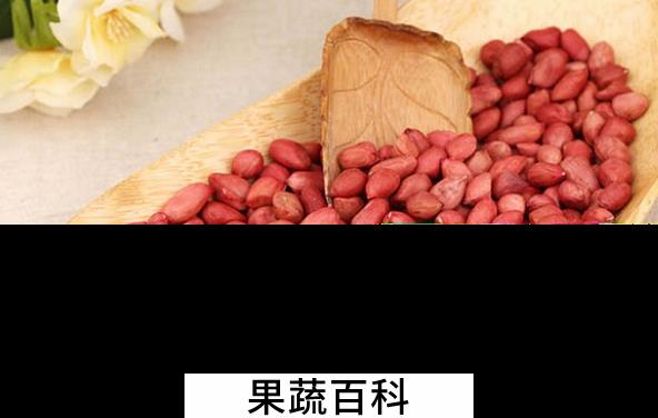 果蔬百科吃花生会过敏吗