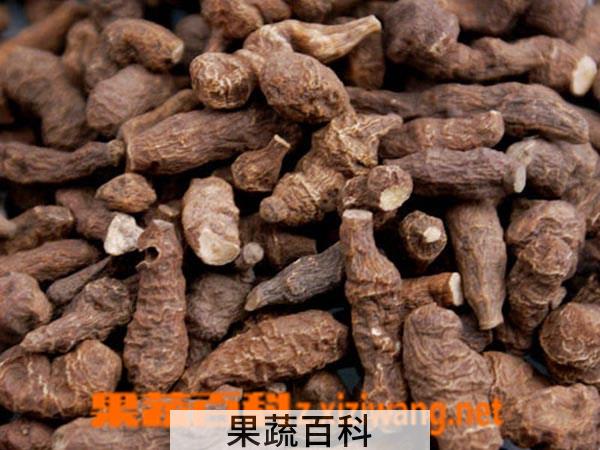 果蔬百科