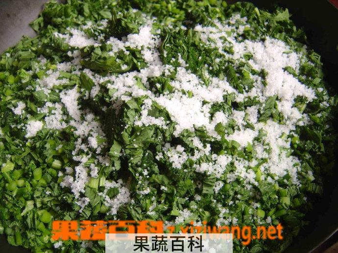 果蔬百科芥菜丝腌制方法 芥菜丝怎么做