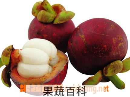 果蔬百科山竹