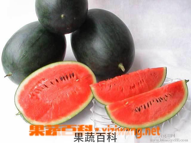 果蔬百科黑美人瓜